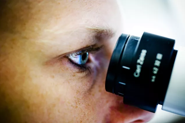 Laboratory work. Photo.