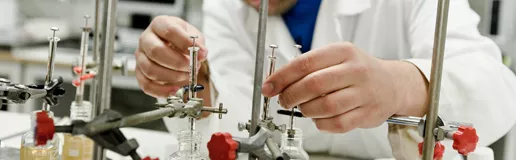 Laboratory work. Photo.